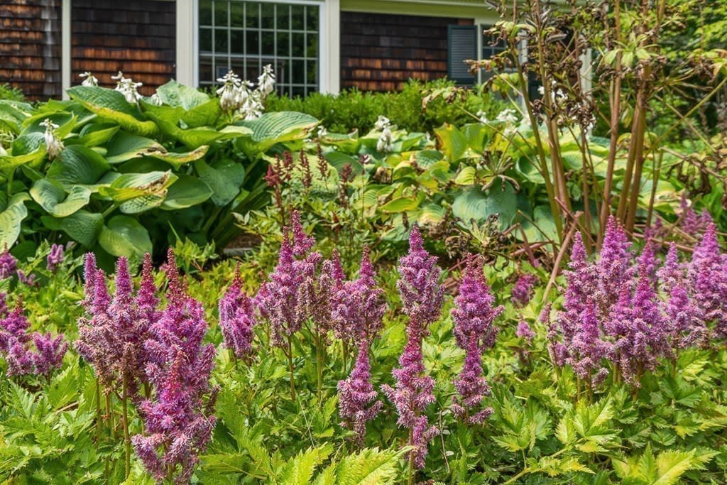 Picturesque Grand Cape with Barn on Five Acres in Fabulous Neighborhood