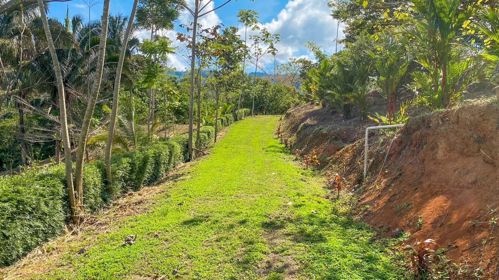 32-Acre Self-Sustainable Off-Grid Farm Near Ojochal with House, Solar Power & River