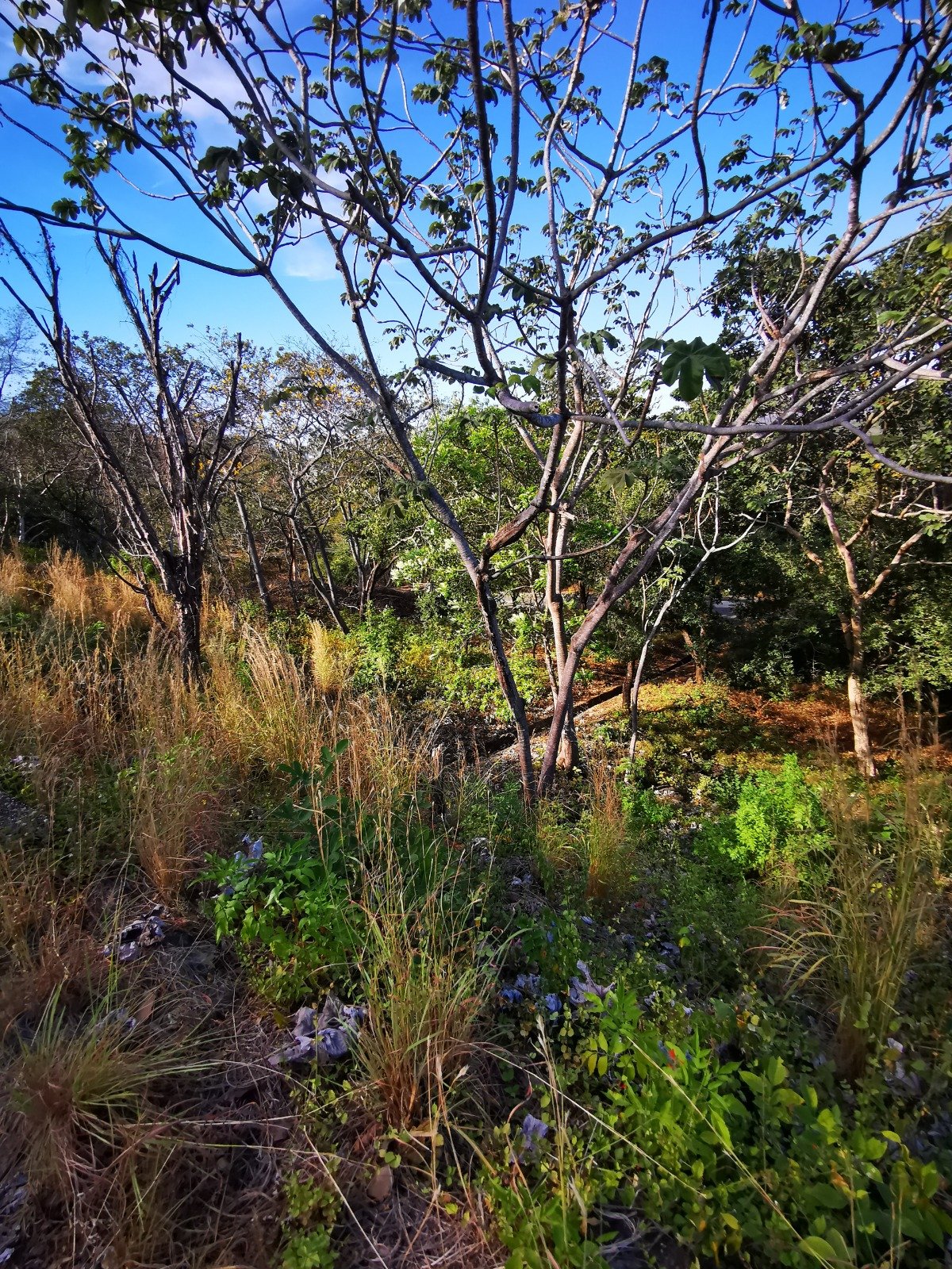 Valle Escondido Development | New Gated Community Near Tamarindo Beach