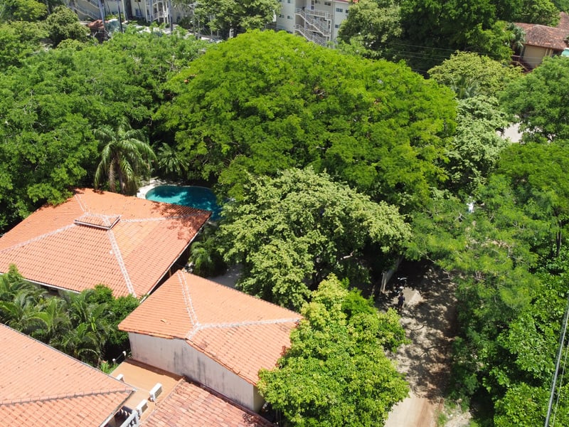 Casa Querencia | Prime Double-Lot Oasis with Rental Apartments in Playa Langosta, Tamarindo