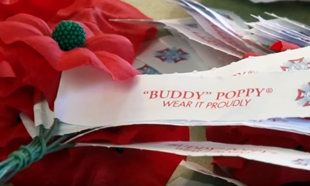 Memorial Day & the Poppy