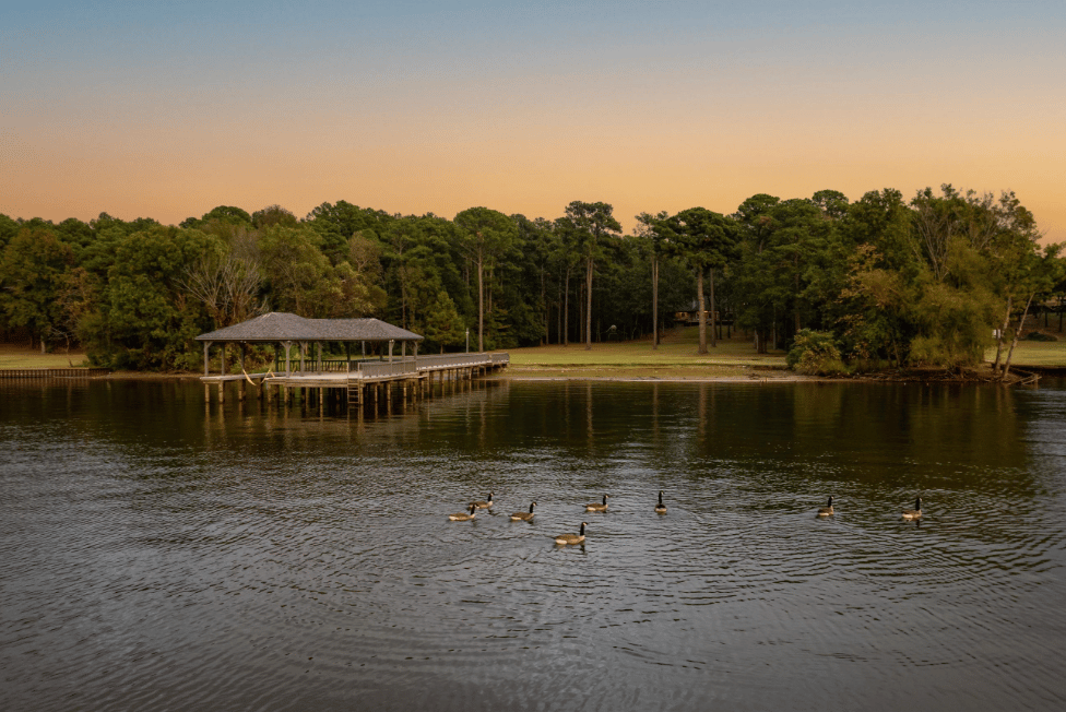 Boat dock and ducks on lake palestine