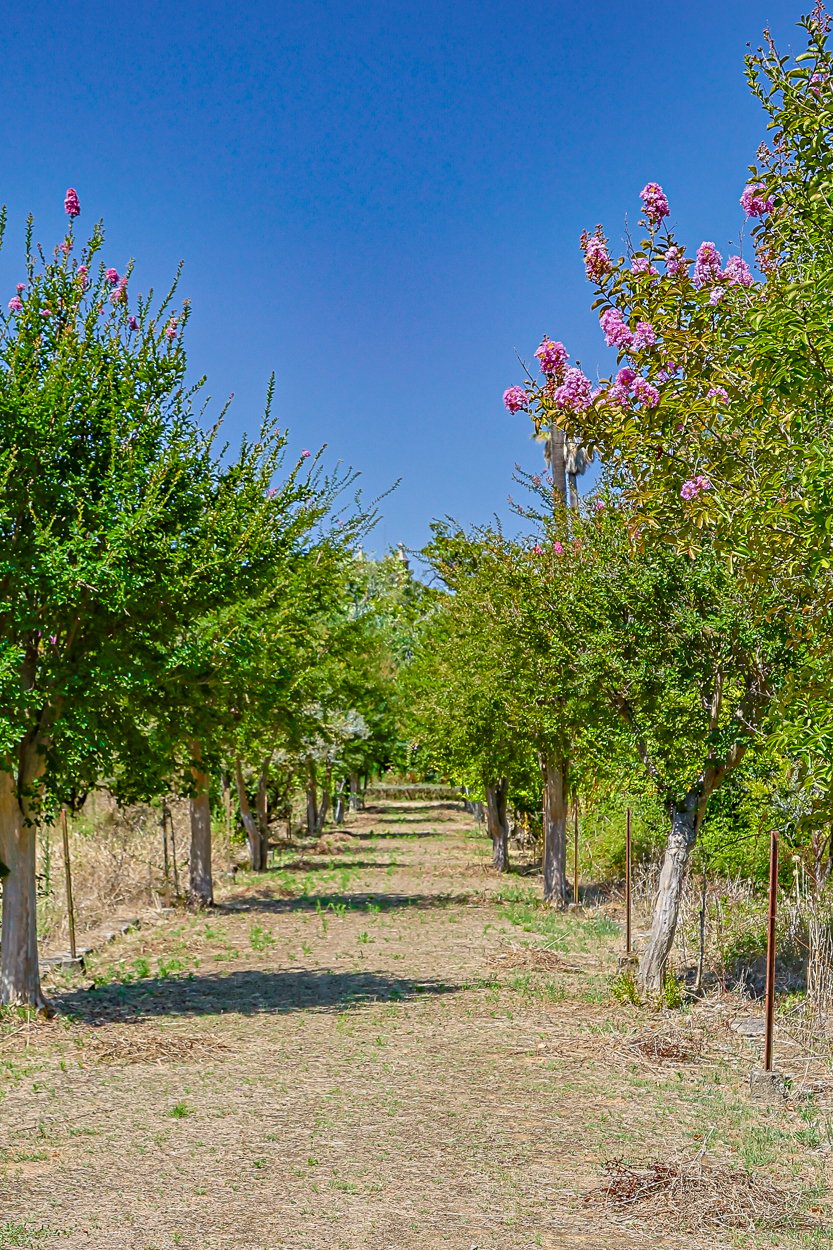 Magnificent 17th-Century Palace with  76,400 m² Estate Near Coimbra