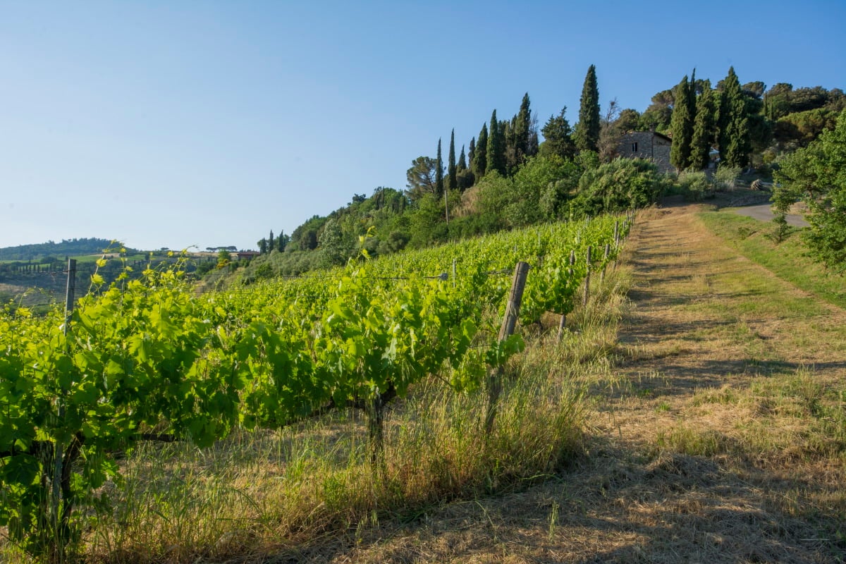 Villa-in-Campagna