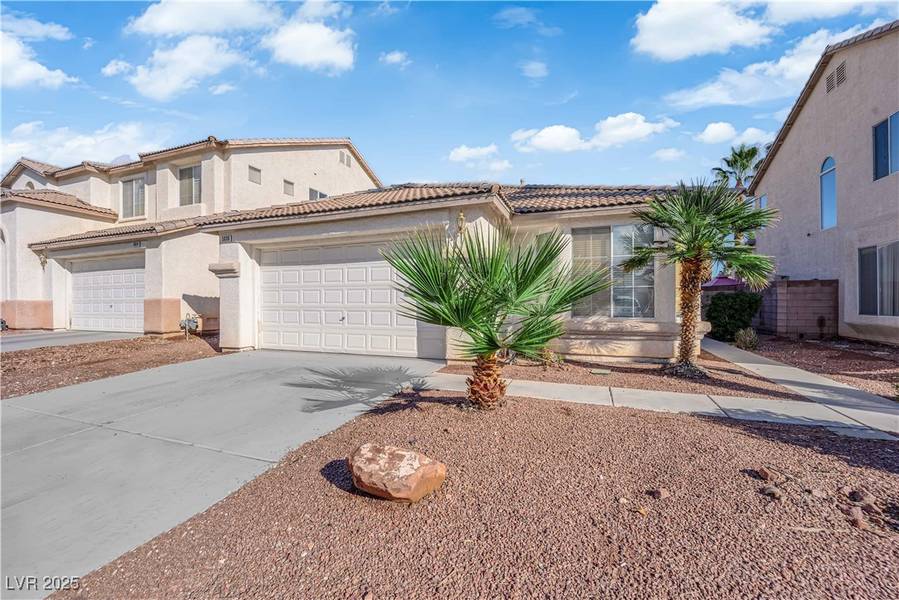 Tierra De Las Palmas