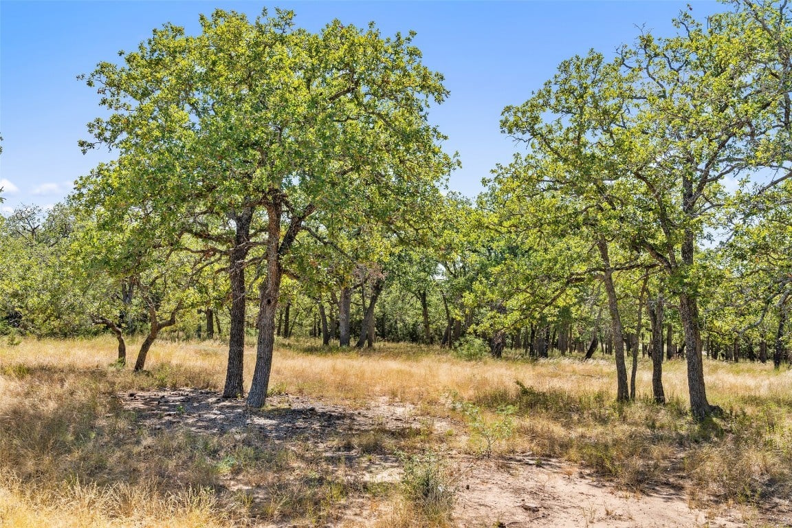 18.145 Acres Herber-schaefer Rd