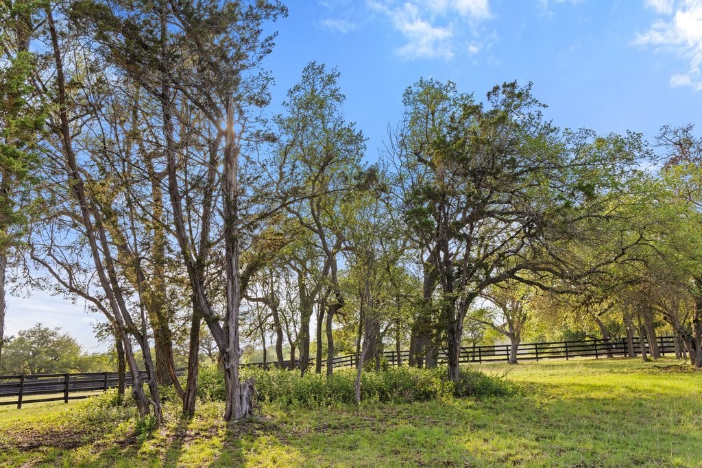 Horseman's Paradise in the heart of Dripping Springs
