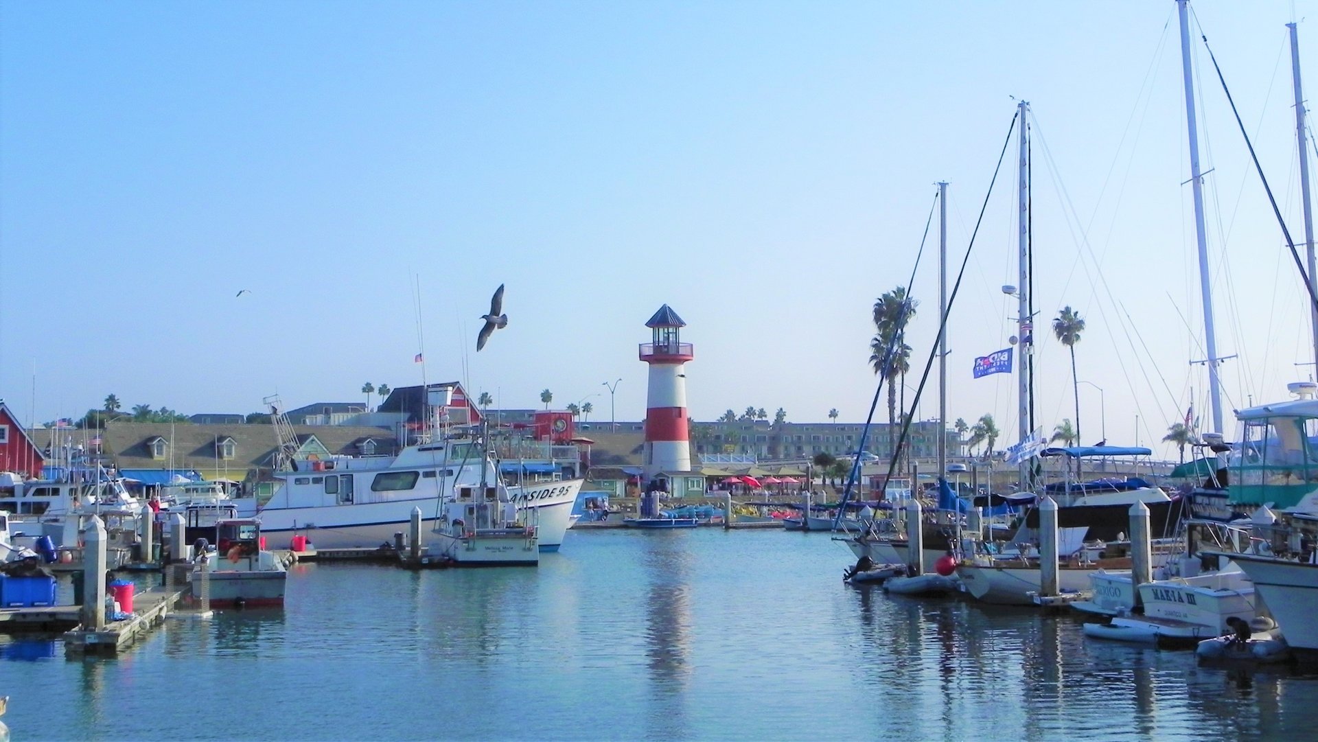 Boats in their slips at Oceanside Harbor with the harbor lighthouse and Harbor Village shops behind them, October 2020