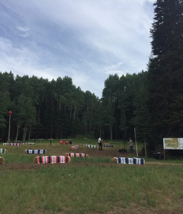 Music in the Meadows