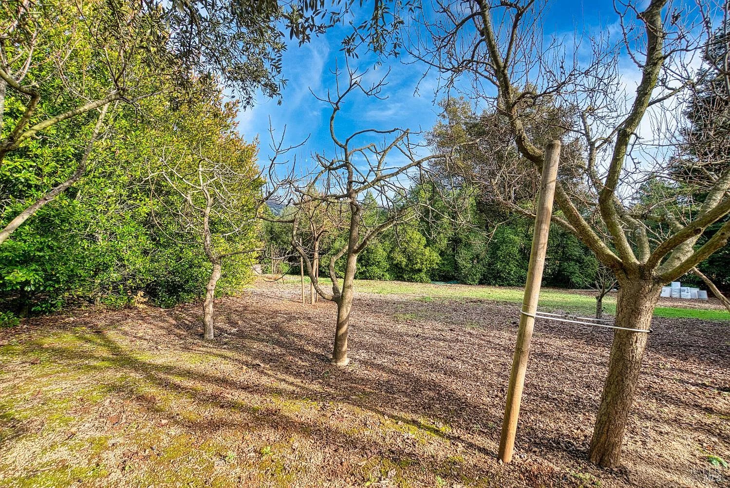 2703 Brush Creek Rd