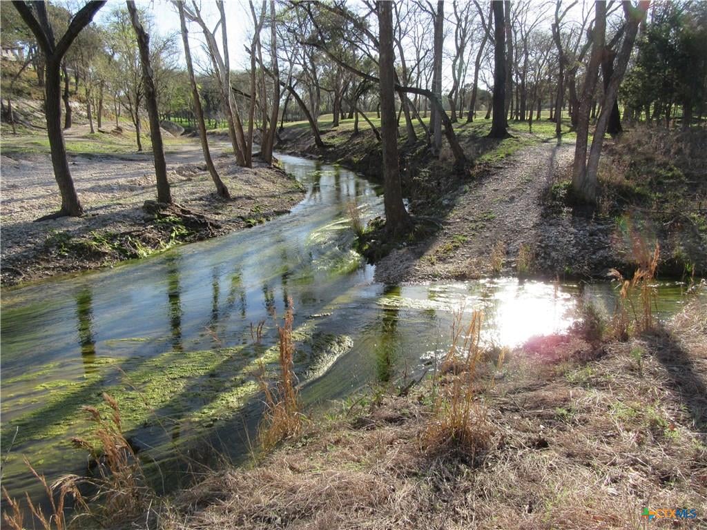 Hidden Springs