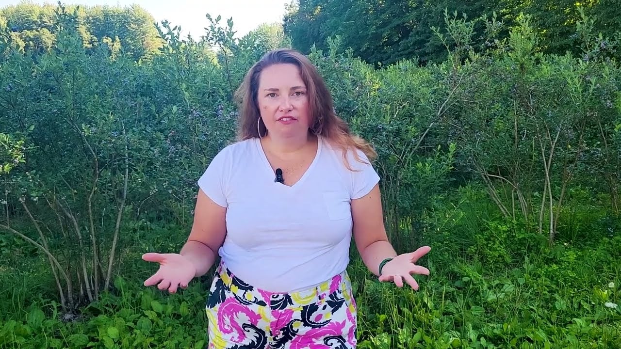  Sarah Sharp Testimonial for Carini REALTORS®
