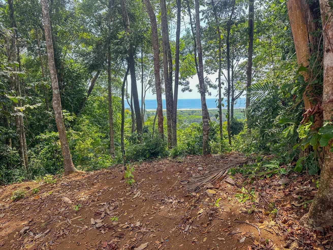 23-Acre Prime Highway Frontage Lot Near Ojochal & Ocean
