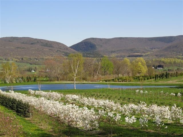 Columbia County NY History