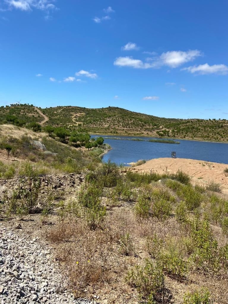 122.5-Hectare Private Estate with Lake, Events Venue & Luxury Home on the Alentejo–Algarve Border