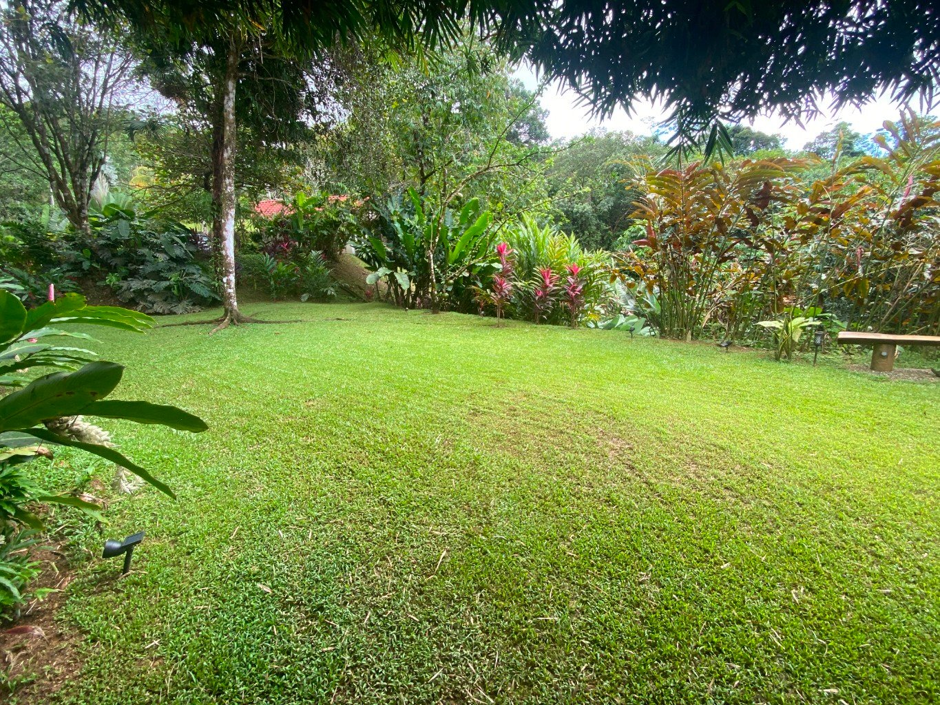 Stunning 3.5-Acre Ocean View Property in Costa Rica – Endless Possibilities Await!