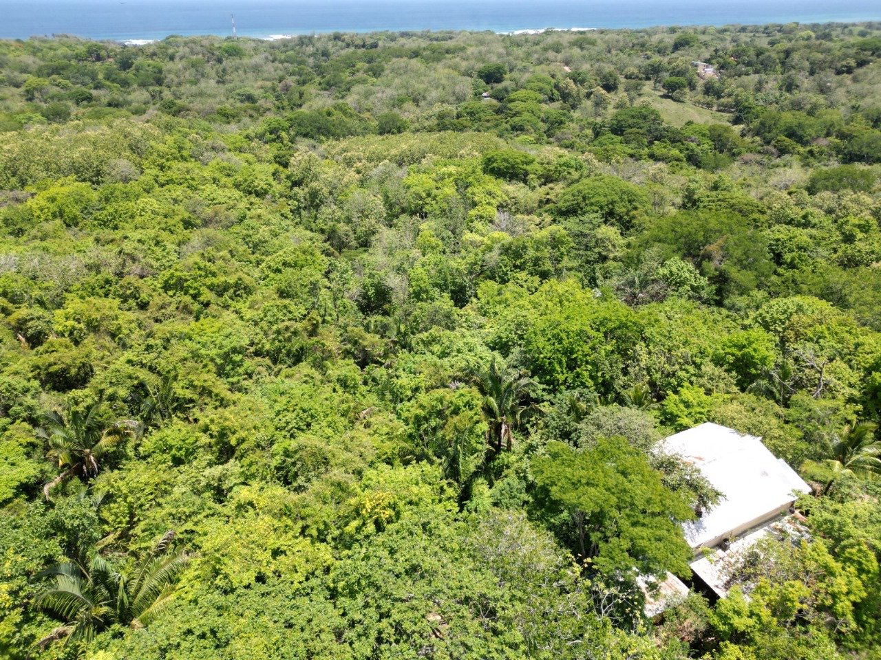 San Juanillo Farm | Large-Scale Ocean View Land with Investment Potential