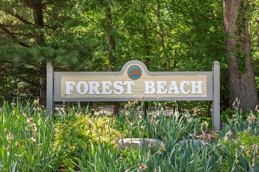 Charming Forest Beach Cottage Home 