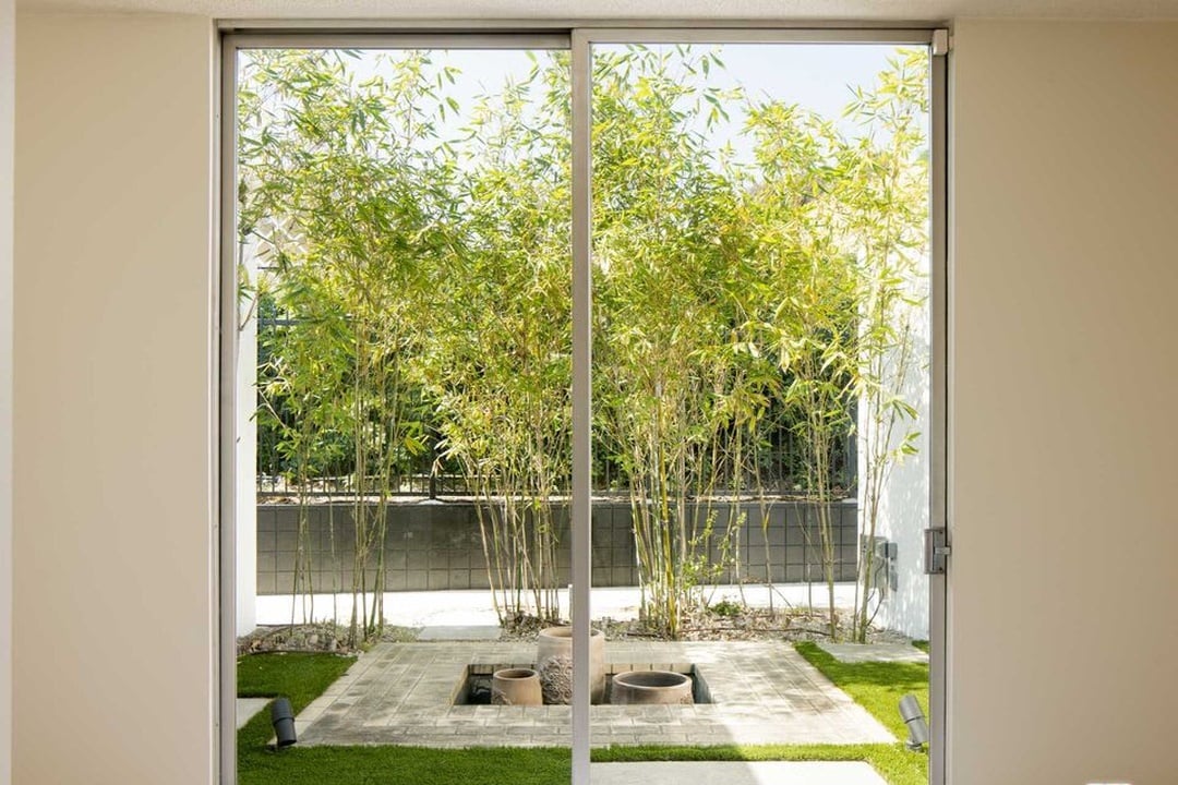 Palazzo Garden