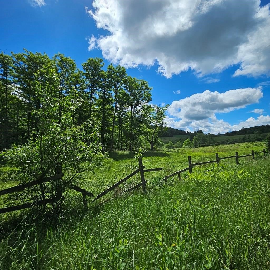 359 Gazdag Road
