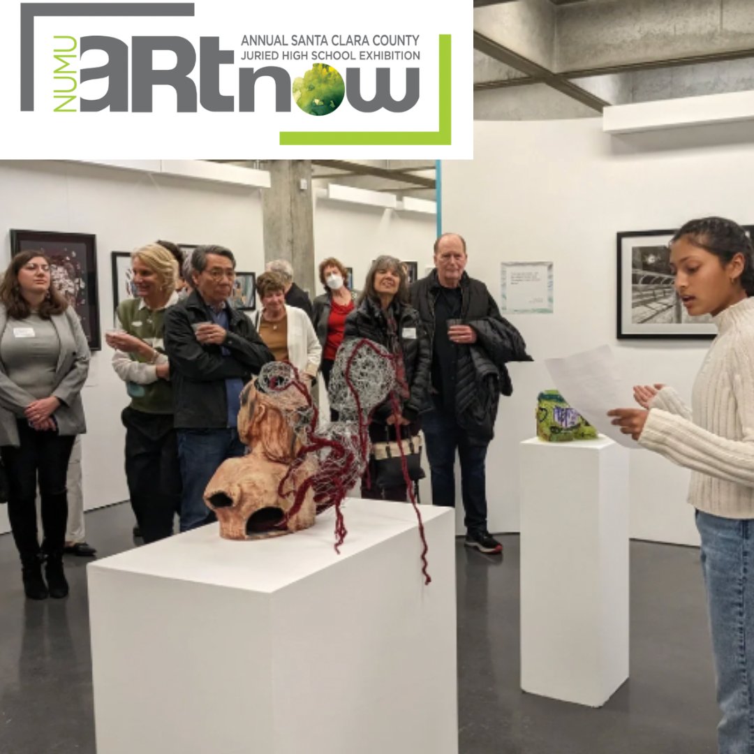 NUMU's Annual Santa Clara County Juried High School Art Now Exhibition