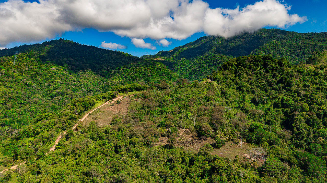 Whale Tail Views Luxury Waterfall Farm