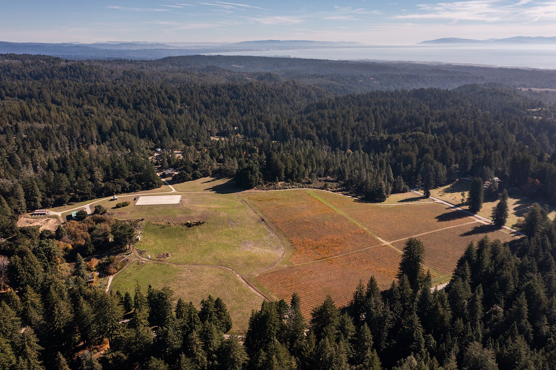 Santa Cruz Vineyard & Horse Property