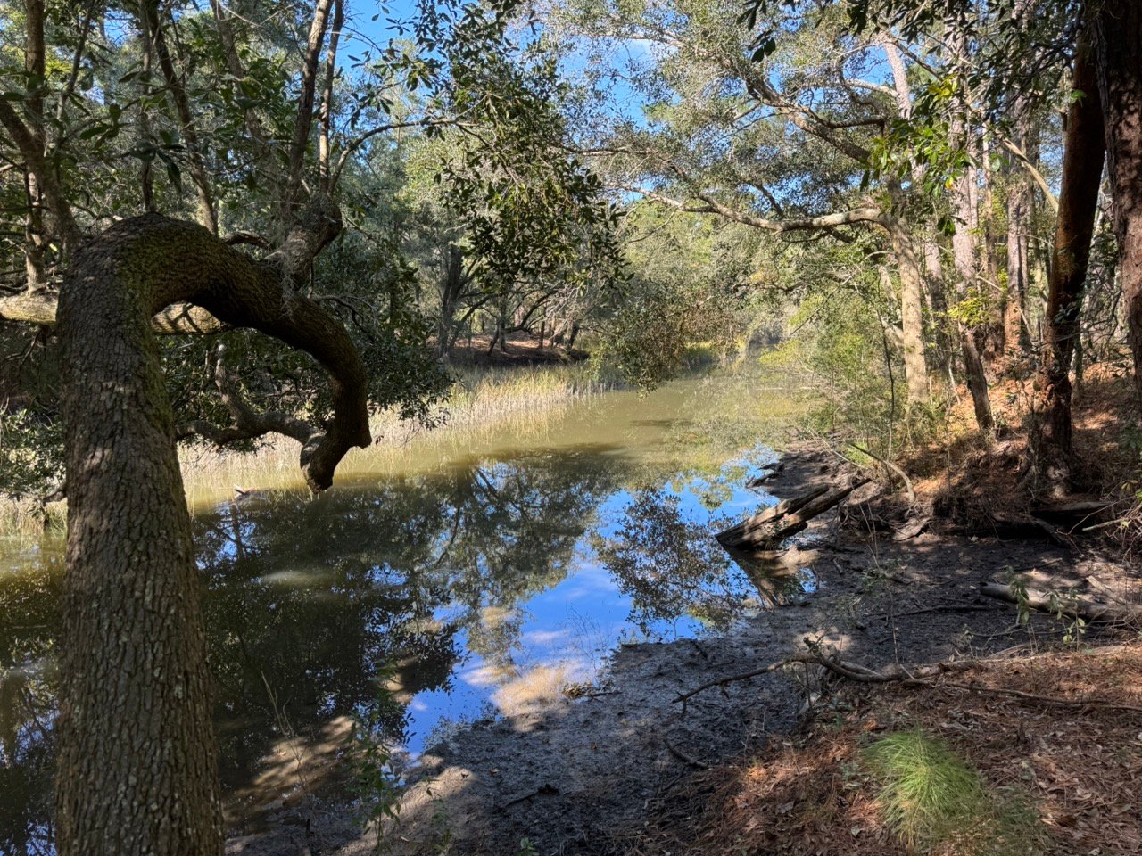 2794 Burden Creek Road