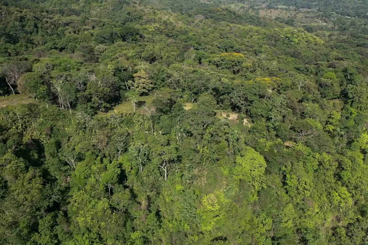 Private 13-Acre Property with Ocean and Mountain Views in San Buenas