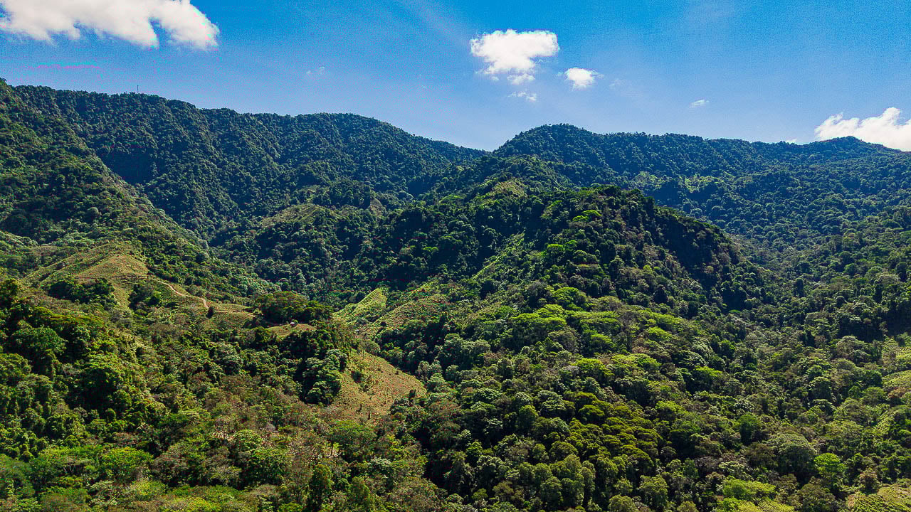 Whale Tail Views Luxury Waterfall Farm