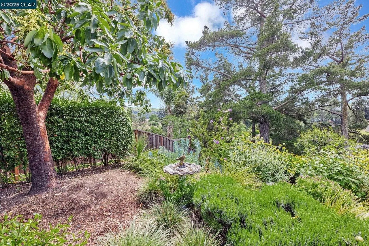 372 Birchwood Dr