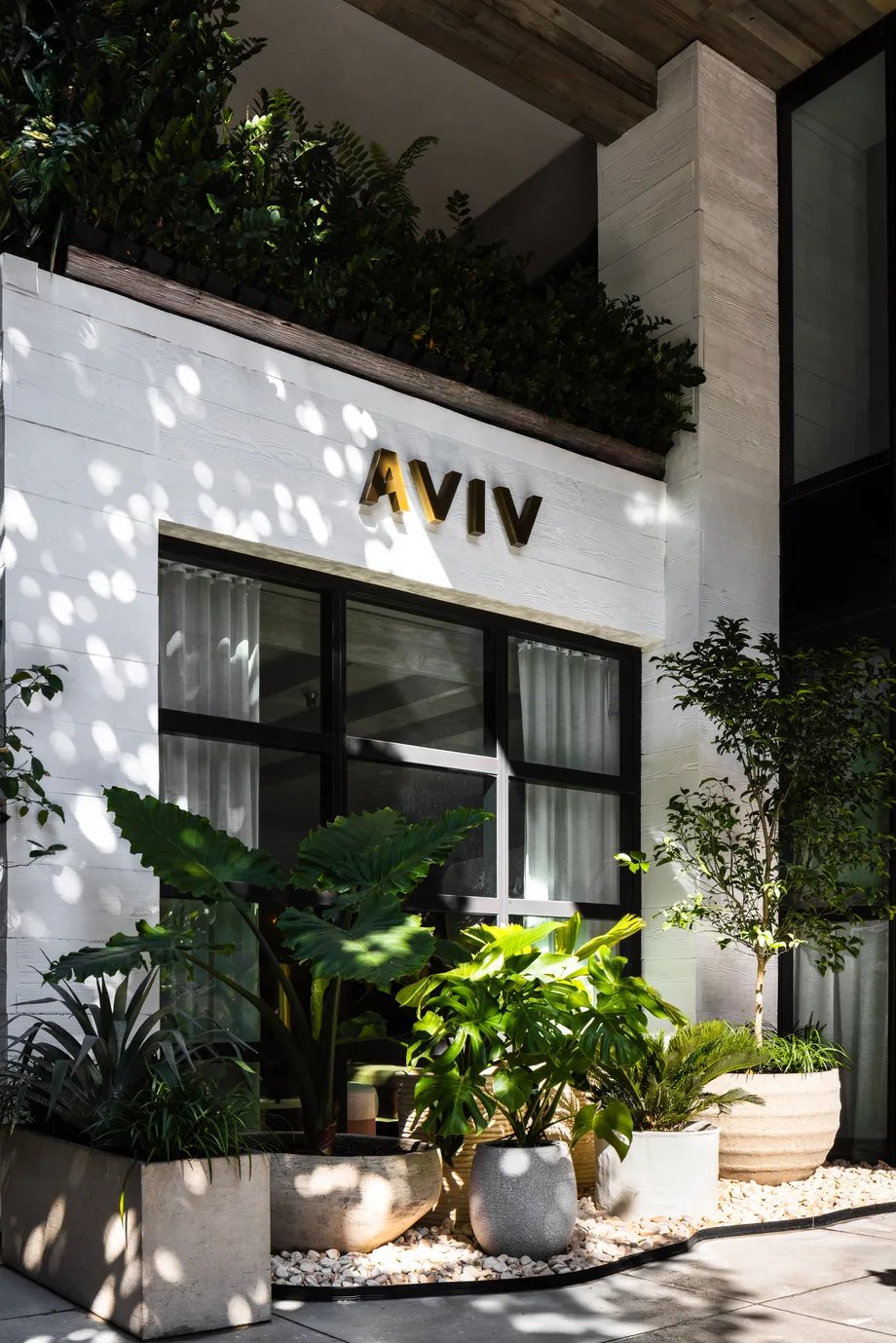 Miami’s Hottest New Restaurant: Aviv by Chef Michael Solomonov