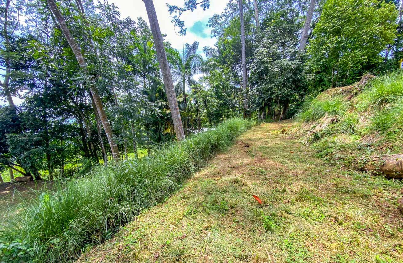Large Uvita Lot With Whale’s Tail Ocean Views, Sunsets & Legal Water – Ready to Build!
