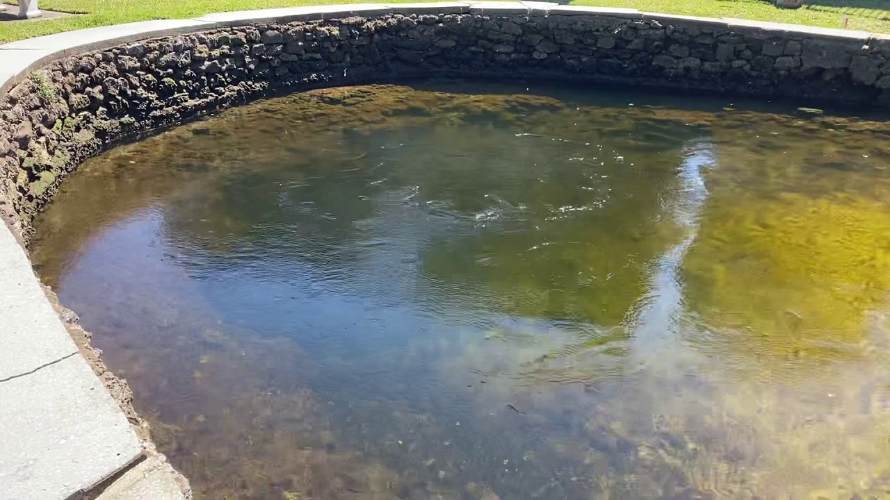 Hudson Spring