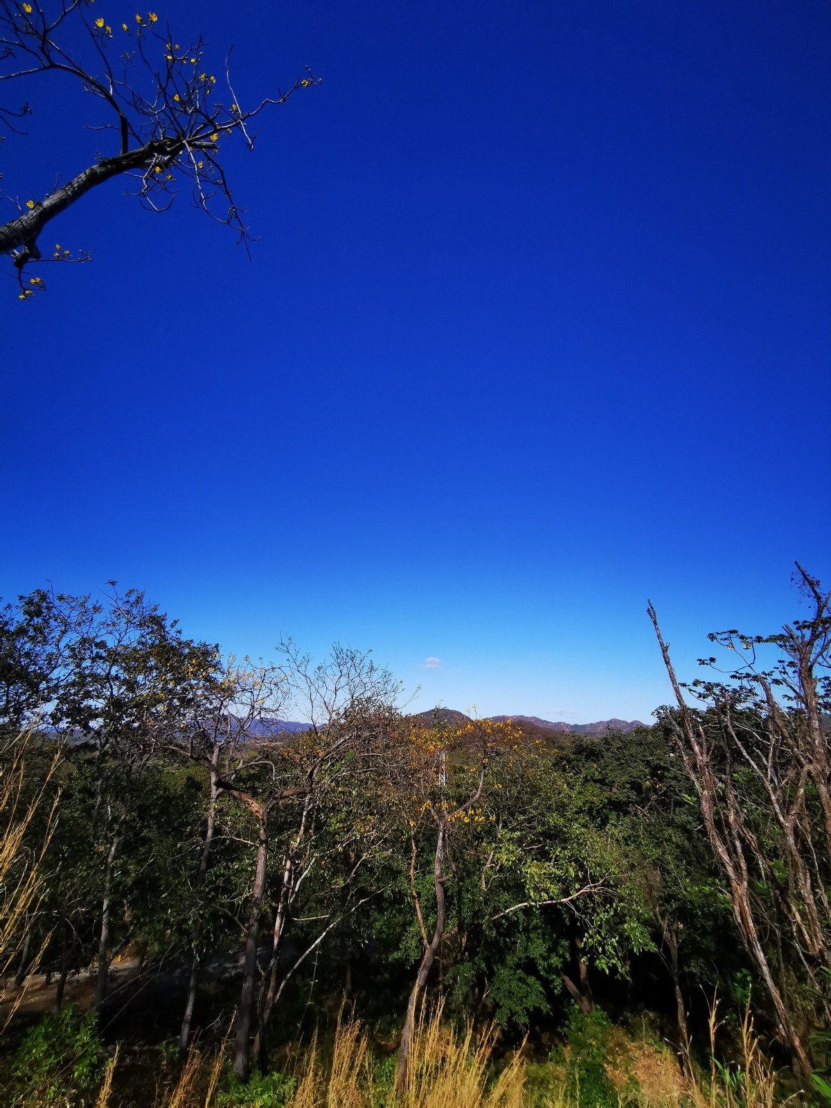 Valle Escondido