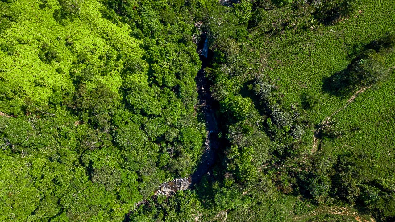 Whale Tail Views Luxury Waterfall Farm
