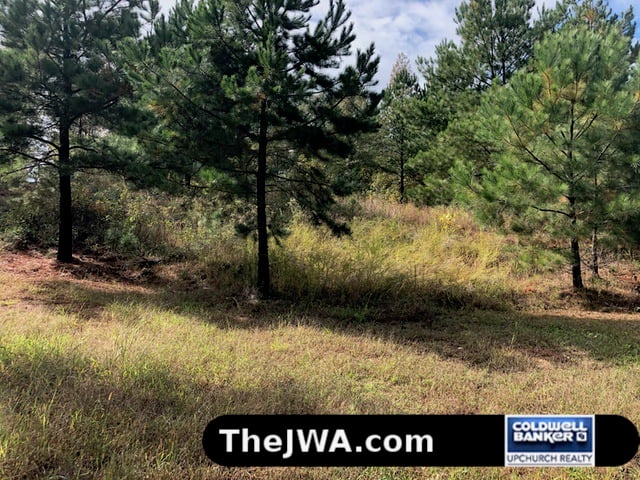 Just Listed!! 1071 Darlington Drive, Watkinsville, Georgia