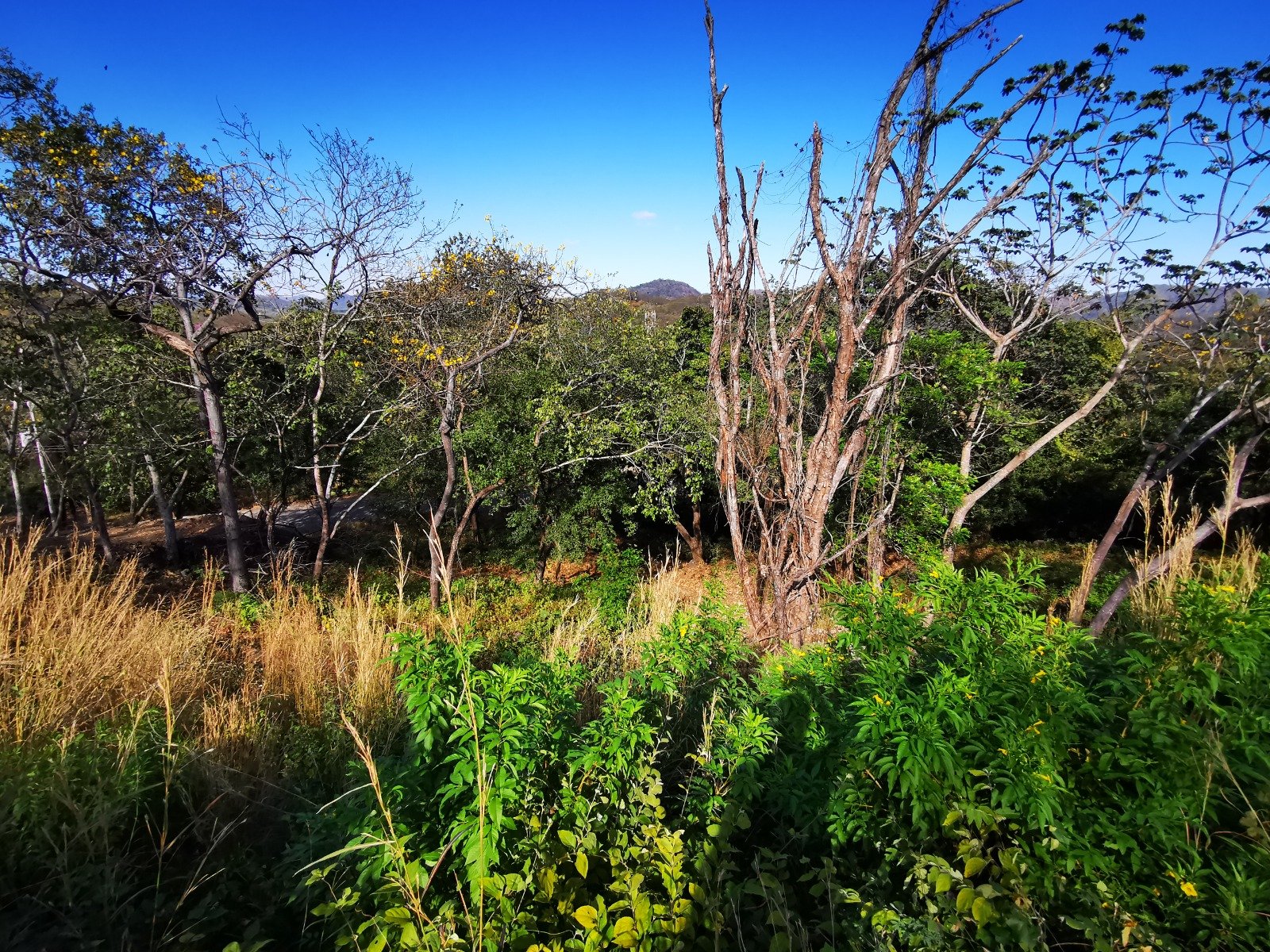 Valle Escondido