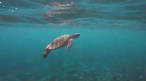 5 Pua Niu Way - Launiupoko Lahaina Maui