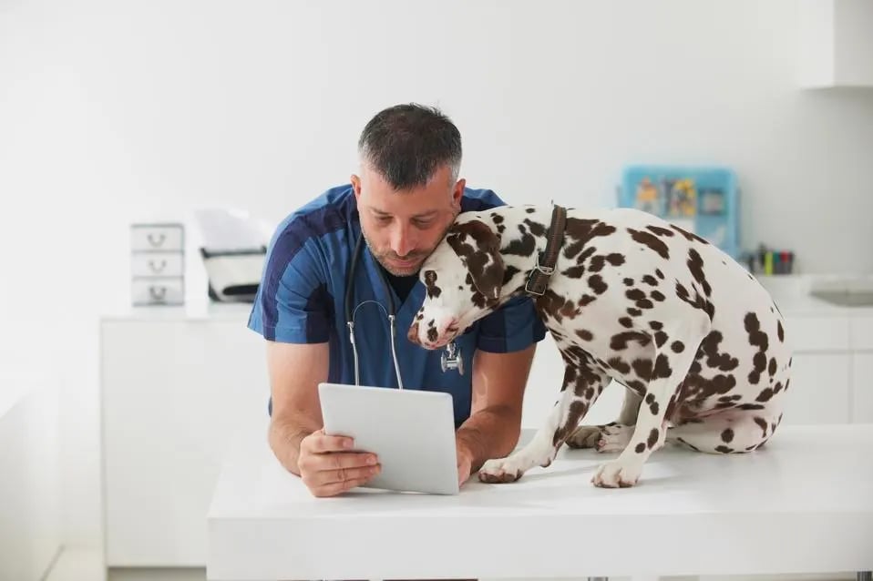 How AI Is Driving Improved Understanding In Pet Healthcare