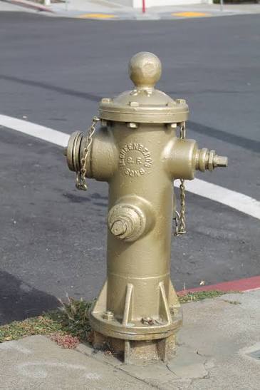 Gold-painted San Francisco fire hydrant on city street pavement