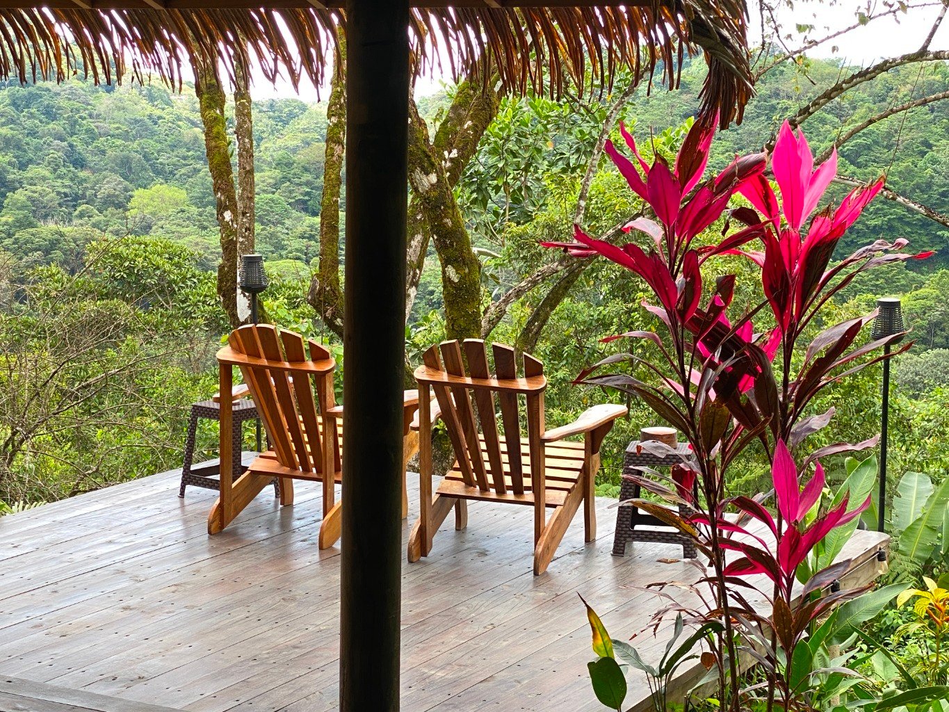 Stunning 3.5-Acre Ocean View Property in Costa Rica – Endless Possibilities Await!
