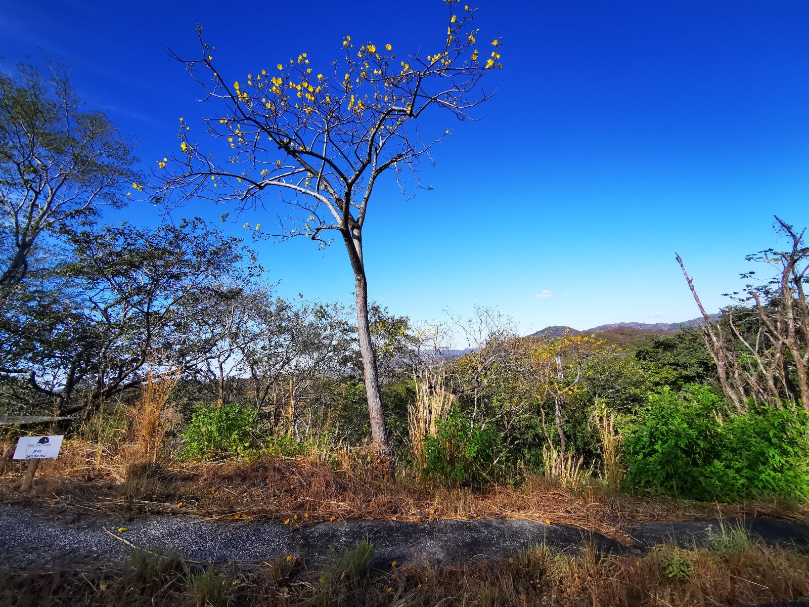 Valle Escondido