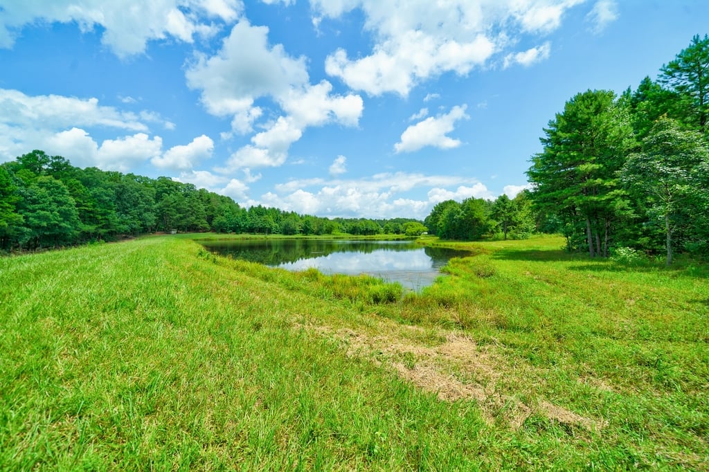 NC 330 Acre Legacy Equestrian Estate 
