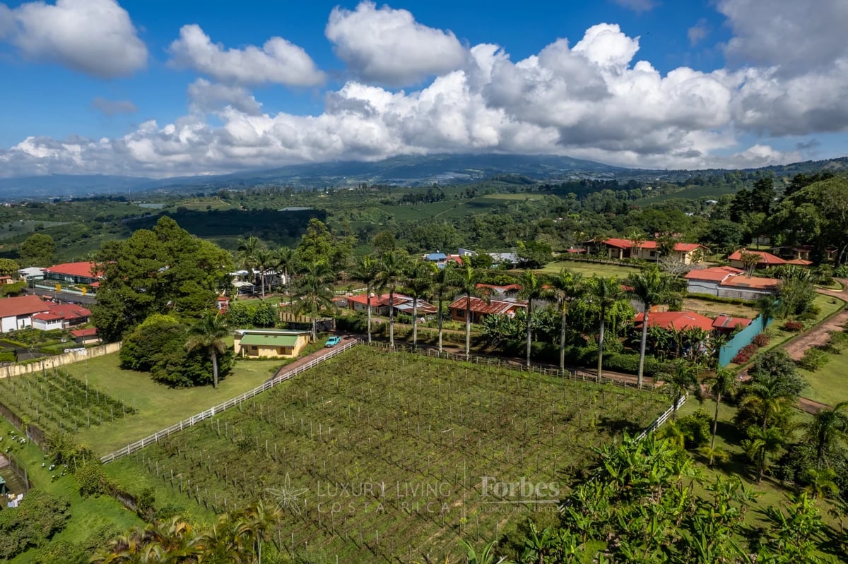 20090 - Luxurious Coffee Estate for Sale in the Mountains of Alajuela