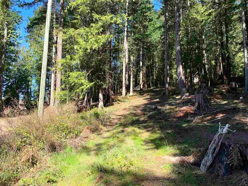 413 Campbell Bay Rd