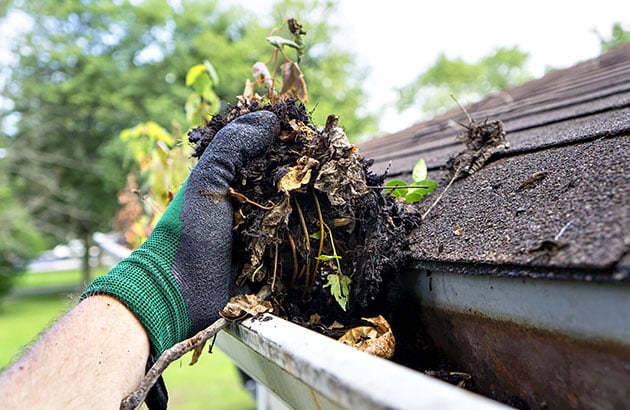 Home Maintenance Tips