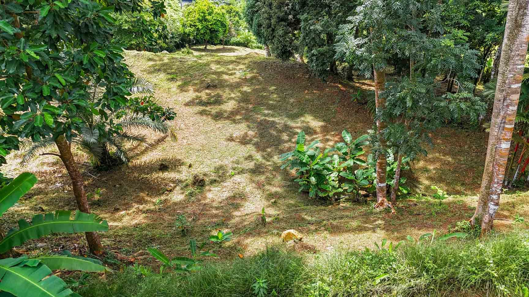 Large Uvita Lot With Whale’s Tail Ocean Views, Sunsets & Legal Water – Ready to Build!
