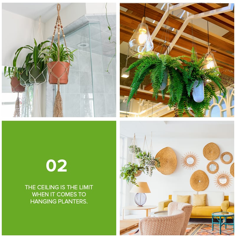 Plant decorating tip 02: The ceiling is the limit when it comes to hanging planters.