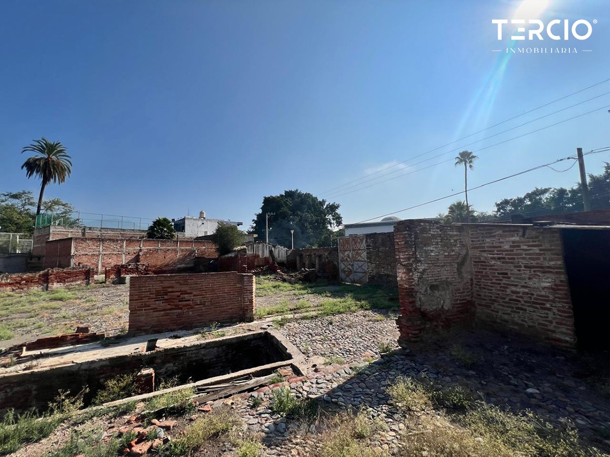 Propiedad en Renta uso de suelo Mixto Ameca $60,000.00 MN